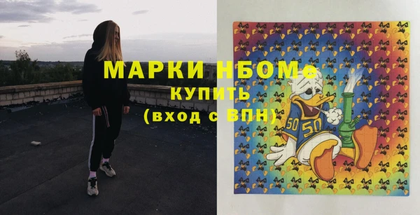 дживик Володарск