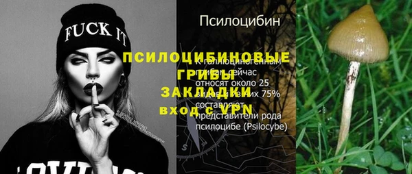 дживик Володарск